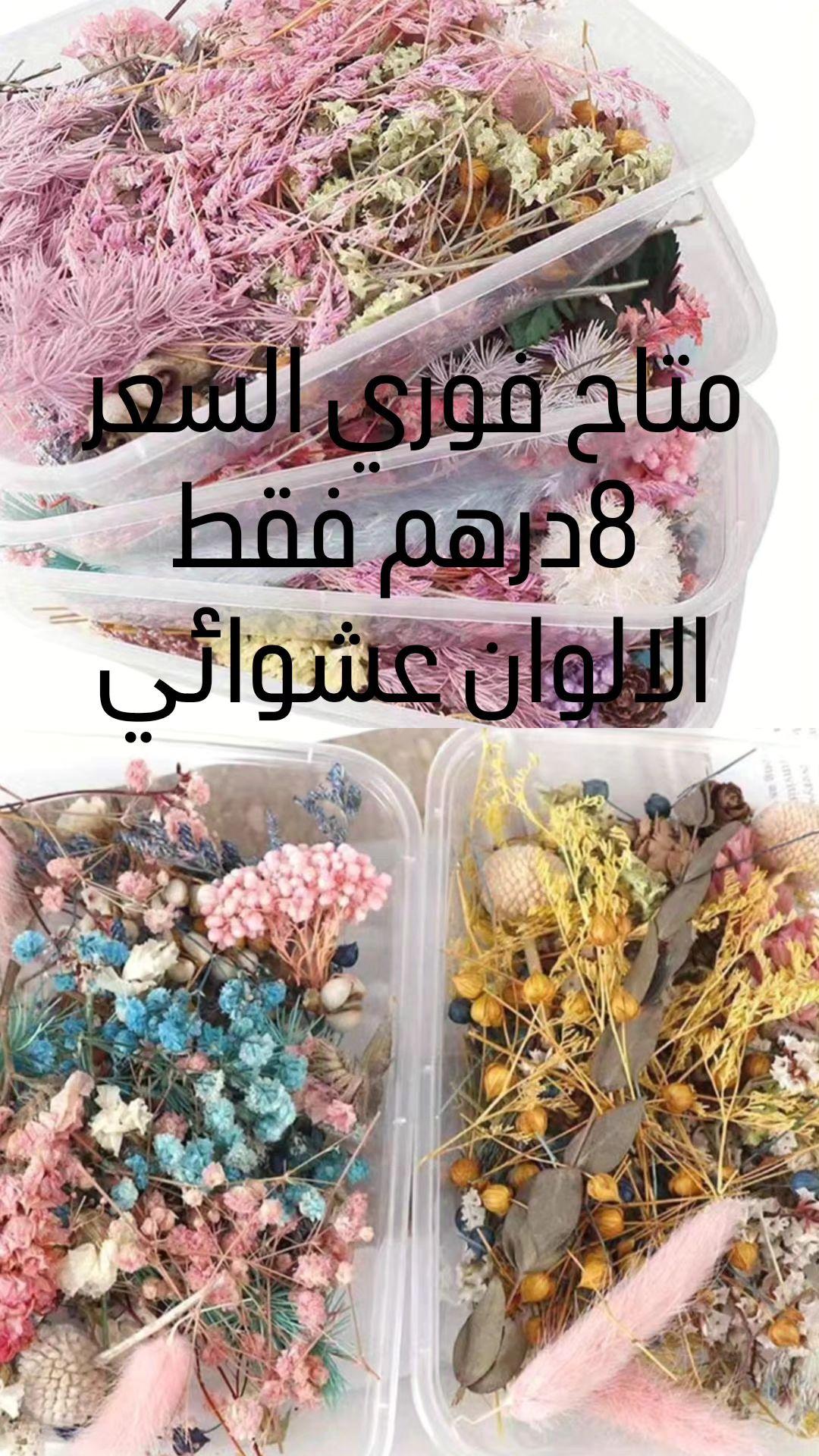 ورد مجفف